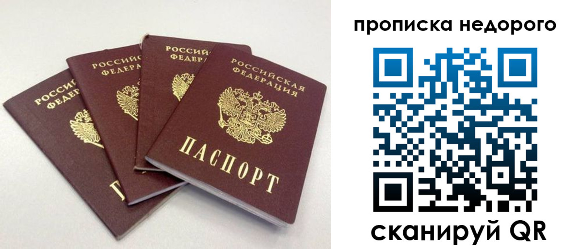 прописка законно в Козельске